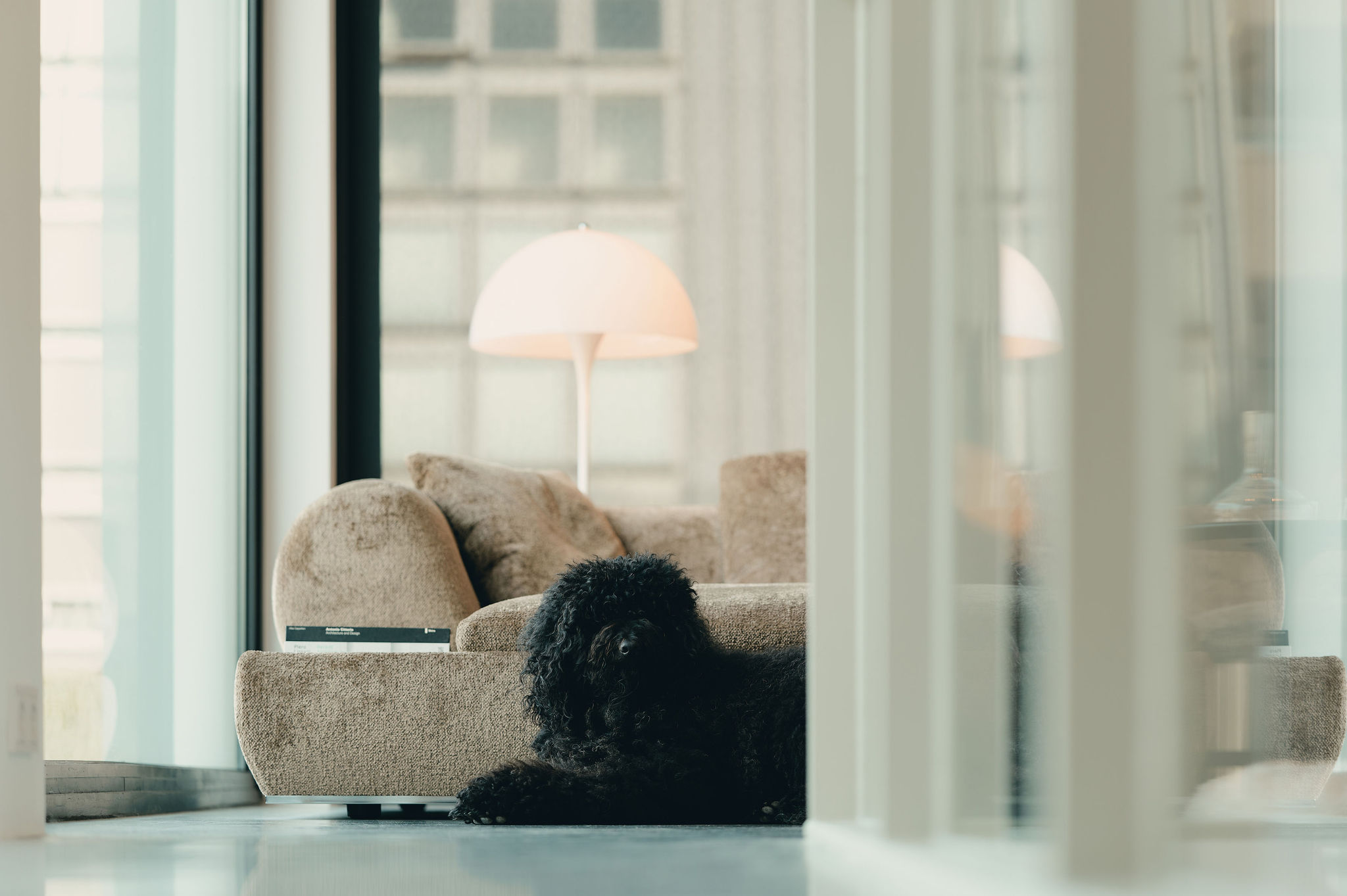 Bank Minotti